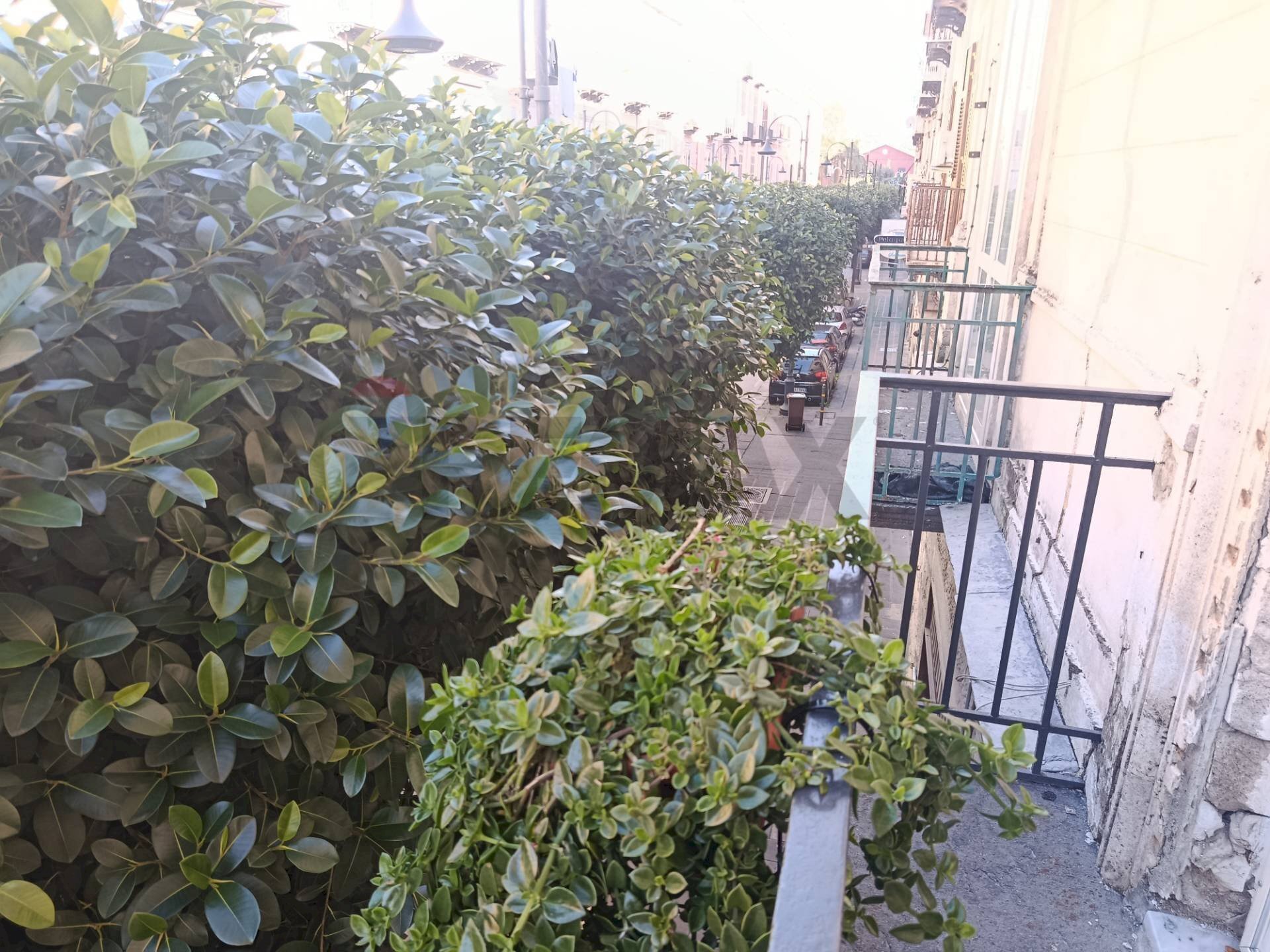 Giardino - Three-room apartment VIA NICOTERA, Nocera Inferiore - photo 3