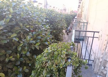 Giardino - Trilocale VIA NICOTERA, Nocera Inferiore - foto 3