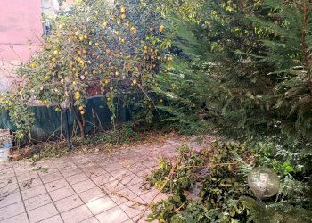 Giardino - Bilocale Corso Vittorio Emanuele, Nocera Inferiore - foto 8