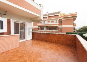 Terrazza - Quadrilocale Nettuno - foto 60