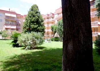 Giardino - Appartamento via saragat
 
122, San Nicola la Strada - foto 23