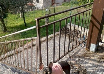 Balcone - Casa semi indipendente via Vicinato Fontanavecchia
 
11, Faicchio - foto 28