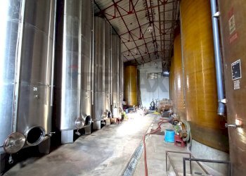 Non correlato - Rustico Santa Maria della Versa - foto 8