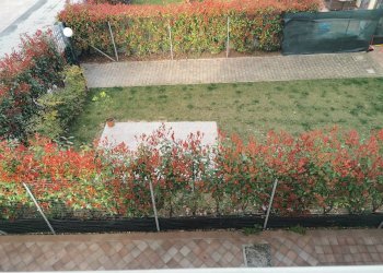 Foto 25 - Trilocale Via San Donato
 
213, Bologna - foto 25