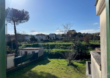 Giardino - Villa Via Emilio Scaglione
 
325, Napoli - foto 20