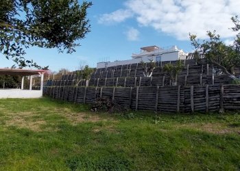 Giardino - Agriturismo Via Torre di Cappella, Bacoli - photo 18