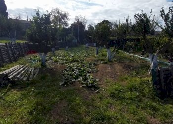 Giardino - Agriturismo Via Torre di Cappella, Bacoli - photo 19