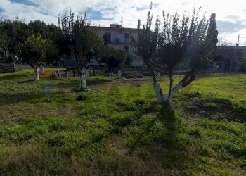 Giardino - Agriturismo Via Torre di Cappella, Bacoli - photo 20