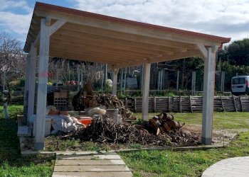 Giardino - Agriturismo Via Torre di Cappella, Bacoli - photo 22