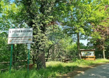 Giardino - Casa indipendente Via Alessandro Marracino
 
27, San Pietro Avellana - foto 30
