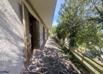 Giardino - Appartamento Palena - foto 3