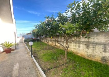 Giardino - Independent house Via Orione
 
3, Alcamo - photo 25