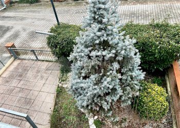 Foto 14 - Villa a Schiera via Ricci, Copparo - foto 14