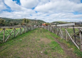 Giardino - Villa Diga Santa Rosalia, Ragusa - foto 24