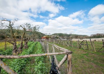 Giardino - Villa Diga Santa Rosalia, Ragusa - foto 29