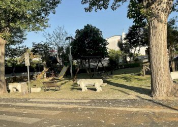 Giardino - Terreno edificabile Via Omero
1, Ardea - foto 4