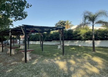 Giardino - Terreno edificabile Via Omero
1, Ardea - foto 5