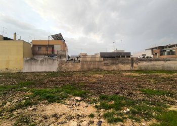 Giardino - Terreno edificabile Via Antonio Lapresa
 
snc, San Vito dei Normanni - foto 5