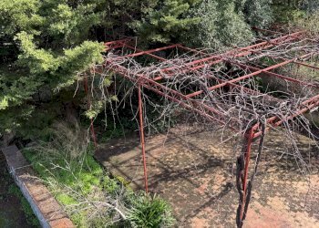 Giardino - Villa Via Altofonte Villaciambra
 
17b, Monreale - photo 39