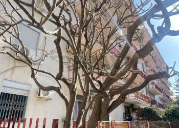 Edificio all\'aperto - Quadrilocale Via Conte Federico
 
198, Palermo - foto 6