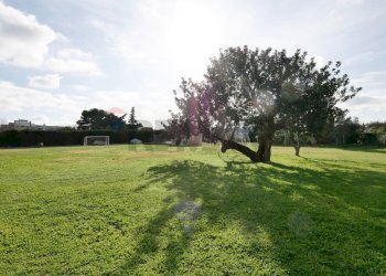 Giardino - Trilocale Via delle Querce
 
22, Noicàttaro - foto 18