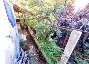 Giardino - Casa semi indipendente Via Pietro Micca
 
48, Sassari - foto 29