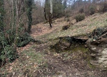 Foto 13 - Independent house LOC. LA GIRELLA
 
75b, Castel Focognano - photo 13