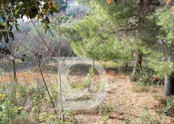 Foto 10 - Terreno edificabile Via Alcide De Gasperi, Montesilvano - foto 10