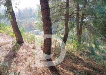 Foto 11 - Terreno edificabile Via Alcide De Gasperi, Montesilvano - foto 11