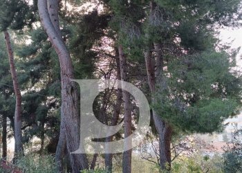 Foto 12 - Terreno edificabile Via Alcide De Gasperi, Montesilvano - foto 12