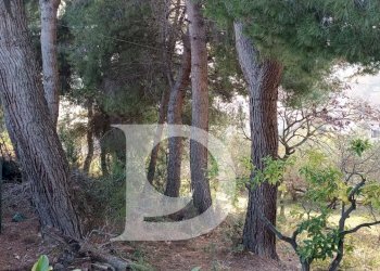 Foto 15 - Terreno edificabile Via Alcide De Gasperi, Montesilvano - foto 15