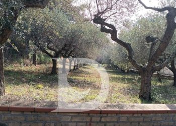 Foto 16 - Terreno edificabile Via Alcide De Gasperi, Montesilvano - foto 16