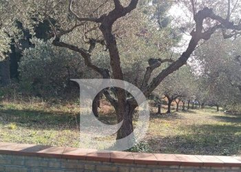 Foto 17 - Terreno edificabile Via Alcide De Gasperi, Montesilvano - foto 17