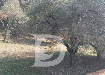 Foto 20 - Terreno edificabile Via Alcide De Gasperi, Montesilvano - foto 20