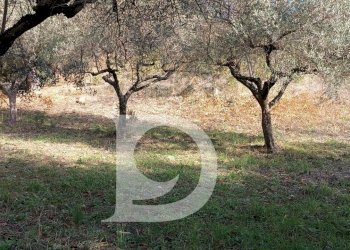 Foto 21 - Terreno edificabile Via Alcide De Gasperi, Montesilvano - foto 21