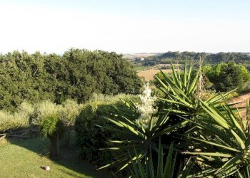 Vista - Rustico contrada Mezzavia, Potenza Picena - foto 17