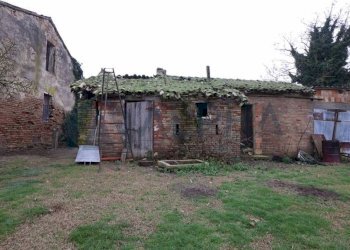 Terreno - Rustico via Aurelio Ravaioli, Ravenna (zona Sant'Alberto) - foto 35