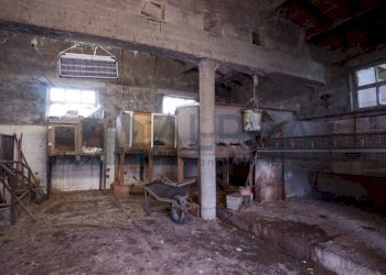 Cantina - Rustic via Aurelio Ravaioli, Ravenna (neighborhood Sant'Alberto) - photo 45