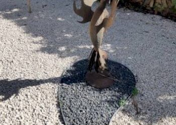 Giardino - Villa C.DA FRAGINESI, 17A/B, Castellammare del Golfo - foto 43