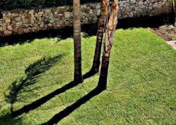 Giardino - Villa C.DA FRAGINESI, 17A/B, Castellammare del Golfo - foto 45
