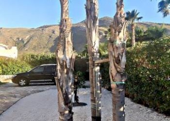 Zona - Villa C.DA FRAGINESI, 17A/B, Castellammare del Golfo - foto 47