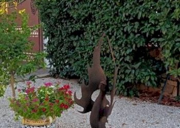Giardino - Villa C.DA FRAGINESI, 17A/B, Castellammare del Golfo - foto 50