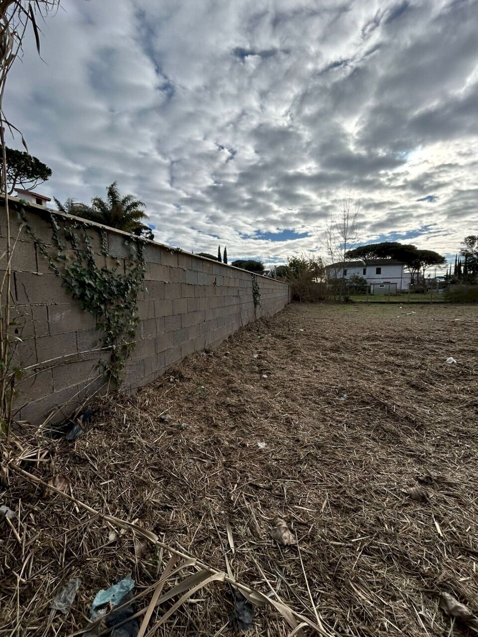 8f173c58-ad16-4097-a53d-061a33f01ad1.jpg - Terreno edificabile Via San Felice Circeo 265, Terracina - foto 2