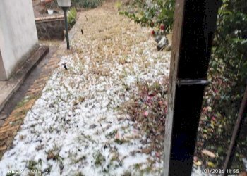 Esterni - Villa Via delle Barozze, Rocca di Papa - foto 20