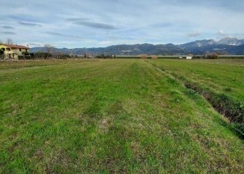 WhatsApp Image 2026-01-18 at 20.43.39.jpeg - Terreno agricolo Sarzana - foto 2