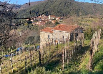 WhatsApp Image 2026-01-21 at 17.08.23 (3).jpeg - Terratetto - Terracielo Via Vallacara 3, Fosdinovo - foto 18