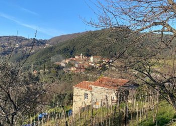 WhatsApp Image 2026-01-21 at 17.08.23 (5).jpeg - Terratetto - Terracielo Via Vallacara 3, Fosdinovo - foto 20