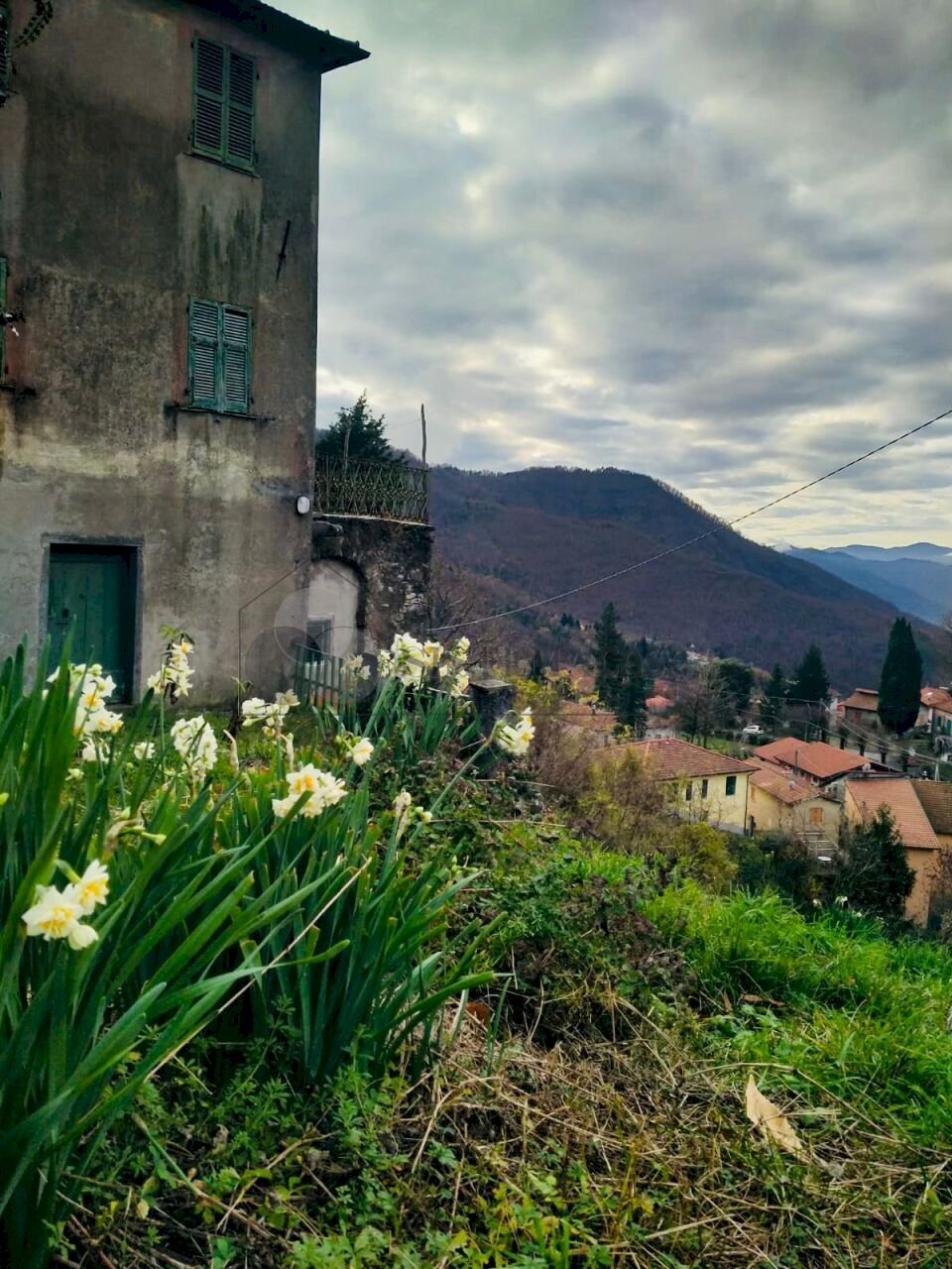 WhatsApp Image 2025-12-22 at 16.15.12 (2).jpeg - Casale Loc. Le Cassonare  snc, Calice al Cornoviglio - foto 1