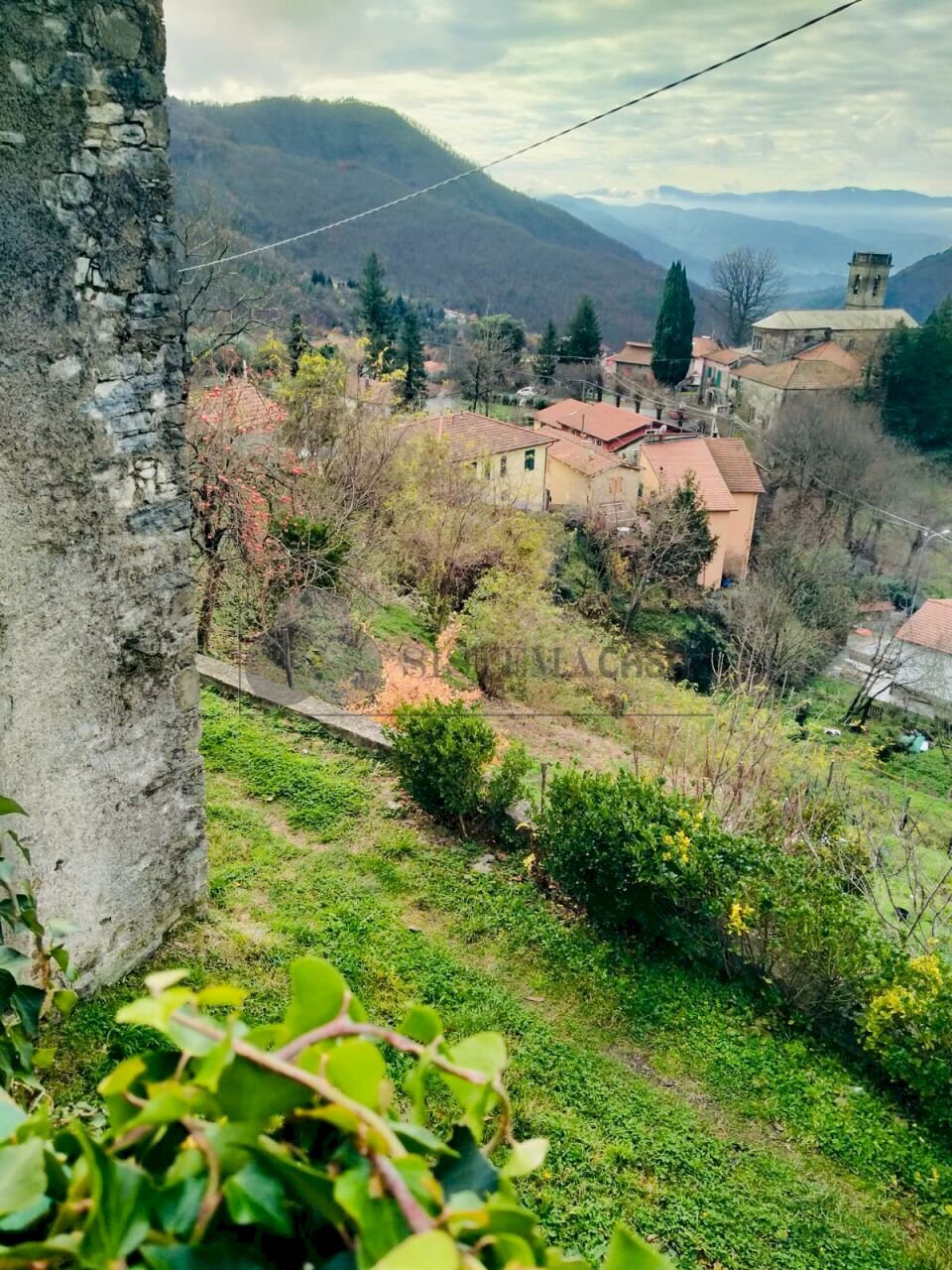 WhatsApp Image 2025-12-22 at 16.15.11 (1).jpeg - Casale Loc. Le Cassonare  snc, Calice al Cornoviglio - foto 2