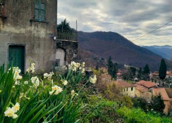 WhatsApp Image 2025-12-22 at 16.15.12 (2).jpeg - Casale Loc. Le Cassonare  snc, Calice al Cornoviglio - foto 1